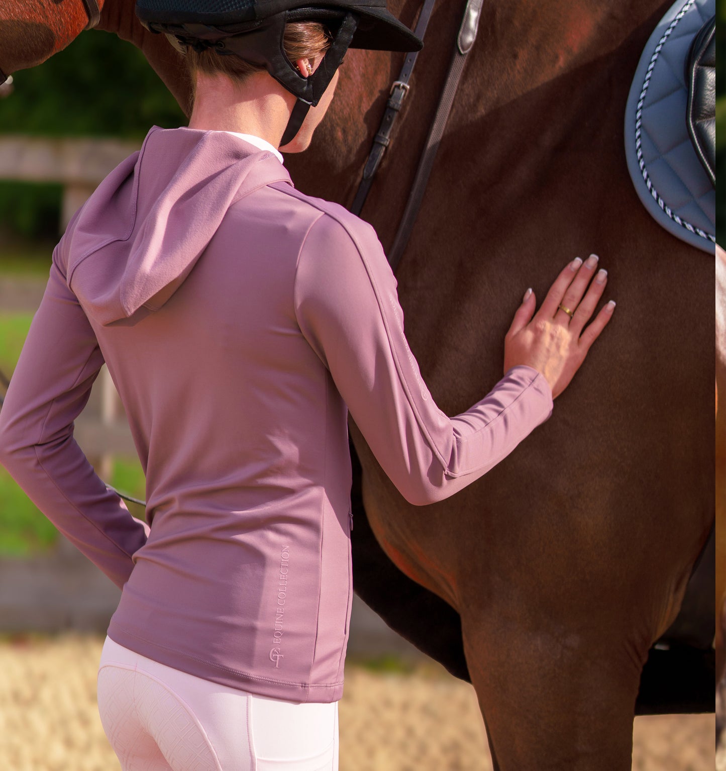 
                  
                    Person in a purple jacket and white pants standing next to a brown horse with a blue saddle pad.
                  
                
