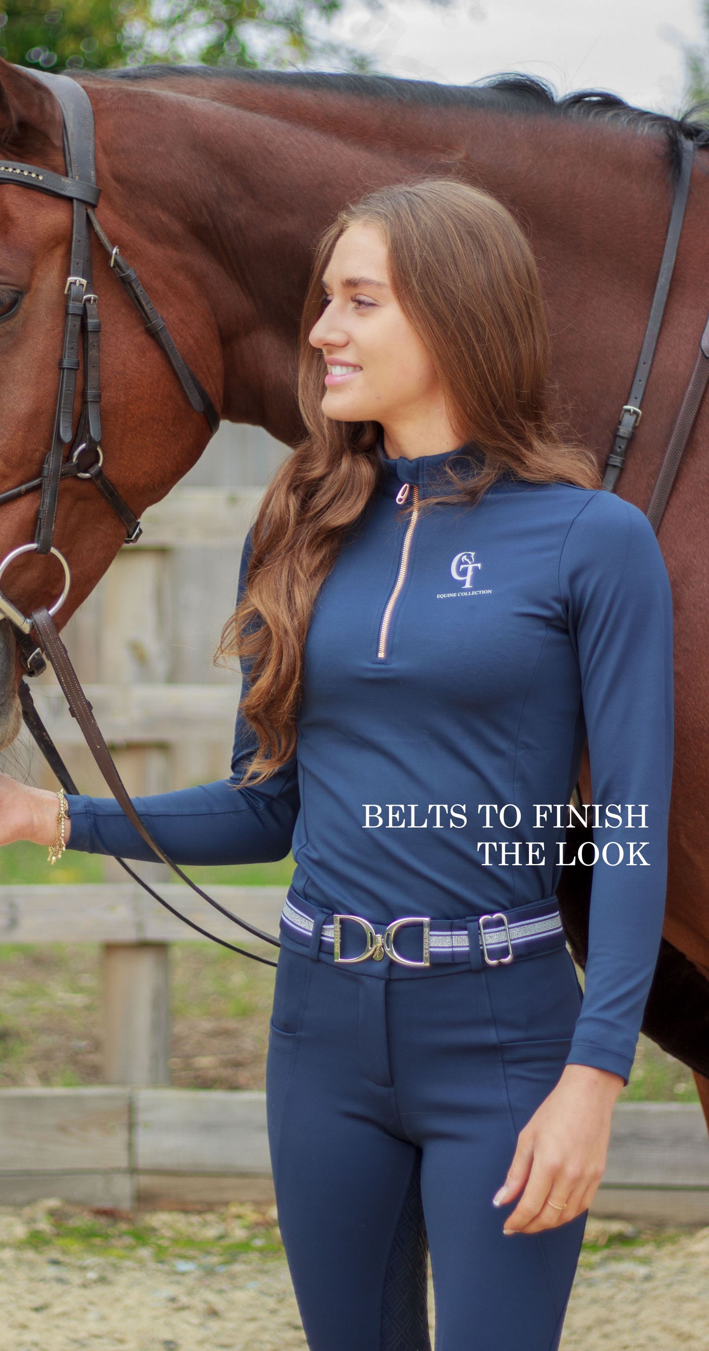 CT Equine Collection