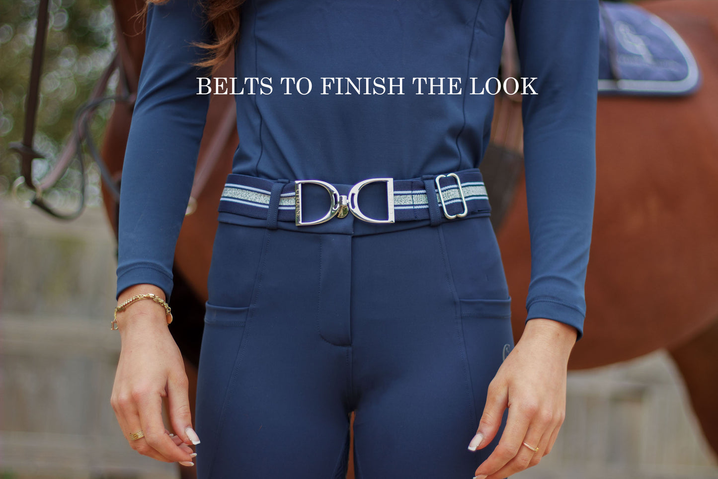 CT Equine Collection