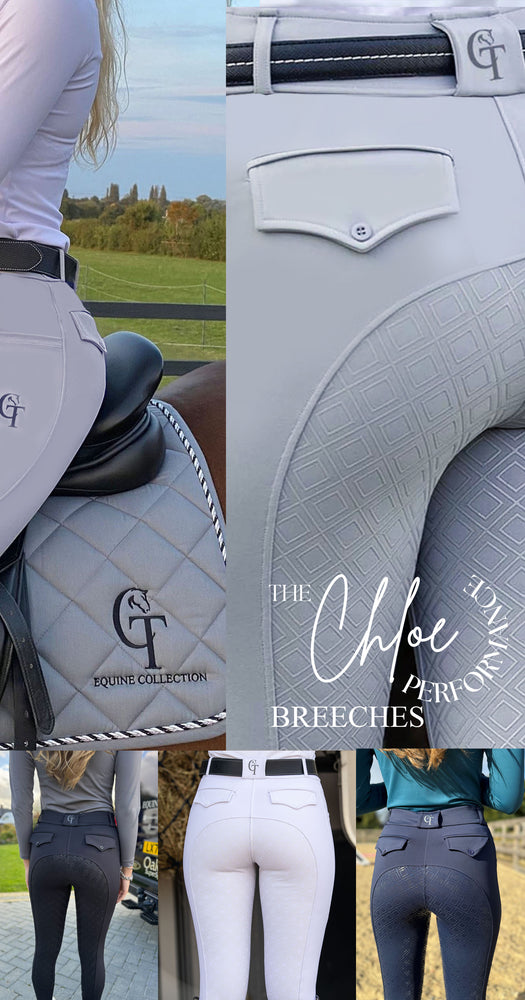 CT Equine Collection