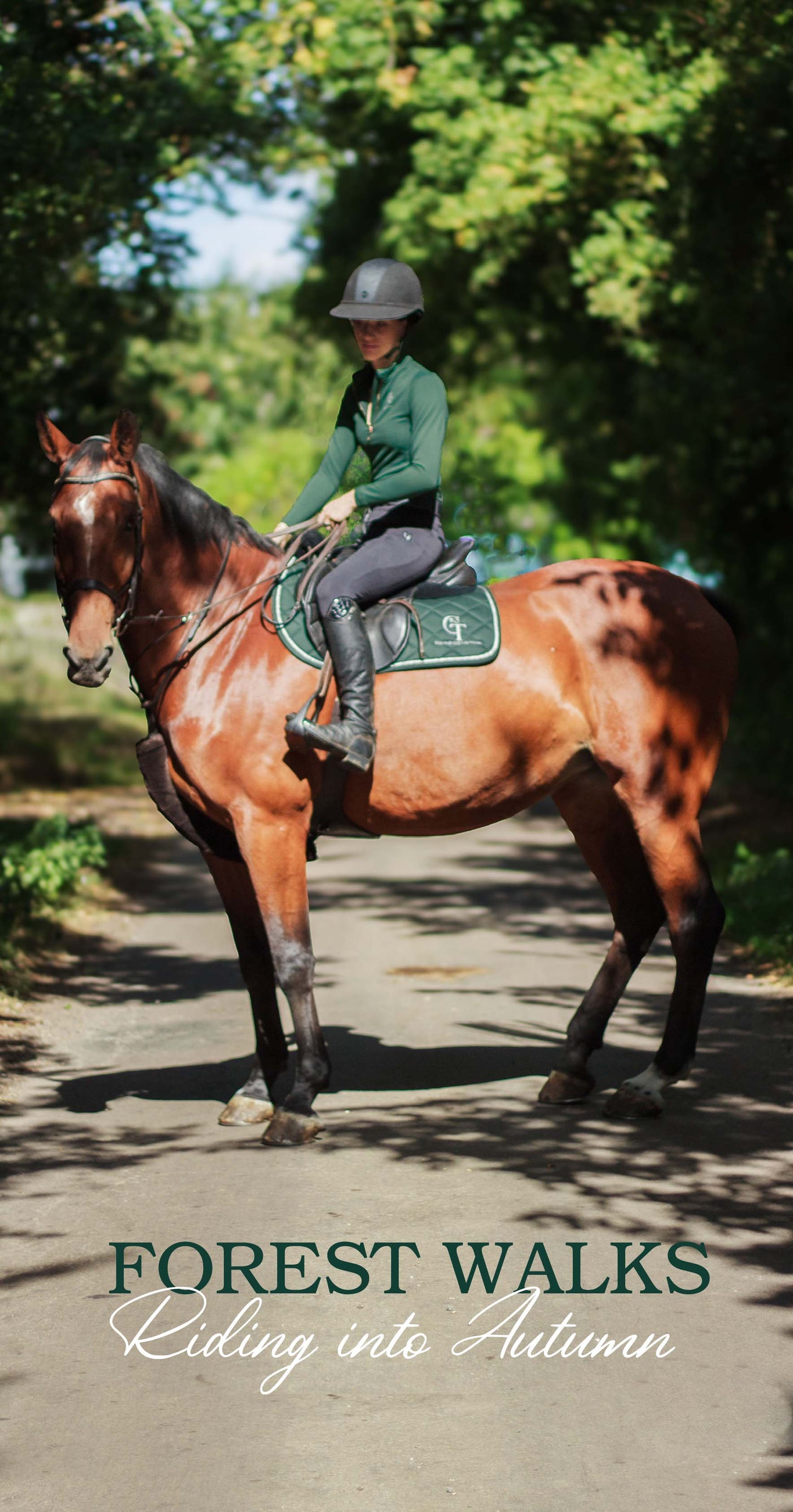 CT Equine Collection