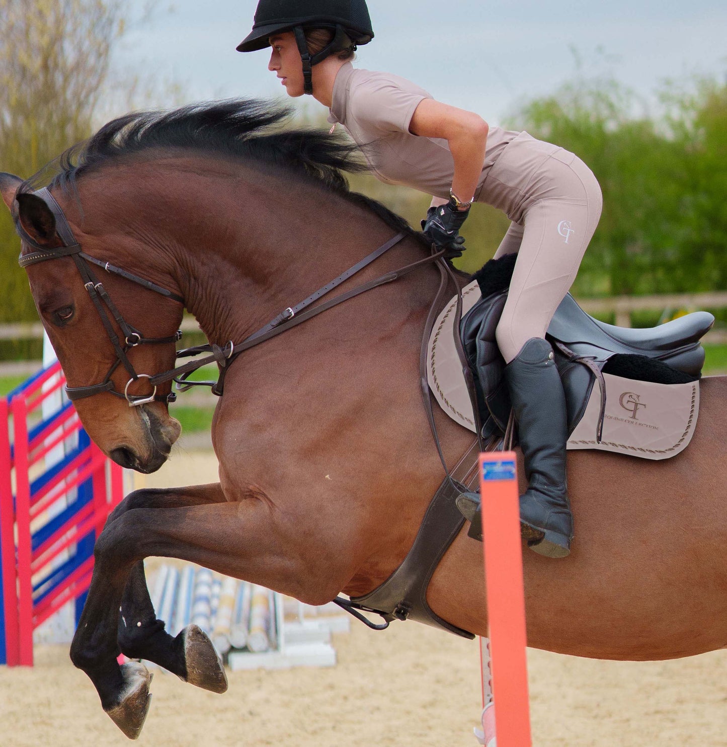 
                  
                    Latte Saddle Pad 
saddle pad, horse saddle pad, large saddle pad, 13.2h to 16h size, cotton saddle pad, affordable saddle pad, numnah, sweat wicking saddle pad, equestrian saddle pad, ct equine saddle pad, equine saddle pad, Latte saddle pad, saddle pad in Latte, beige saddle pad
                  
                