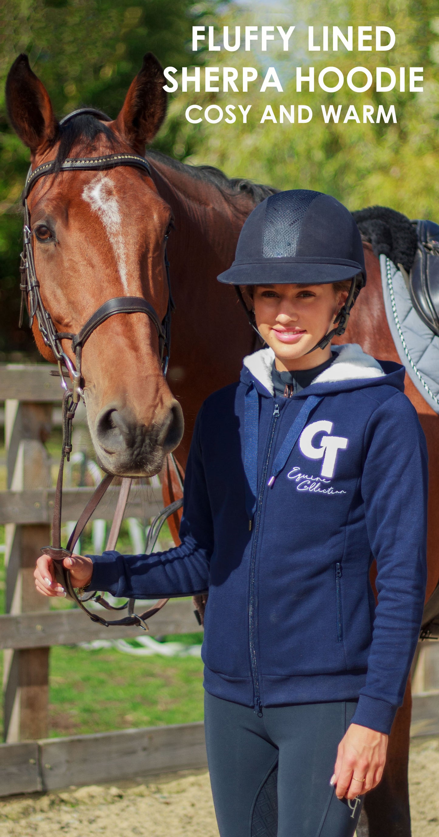 CT Equine Collection