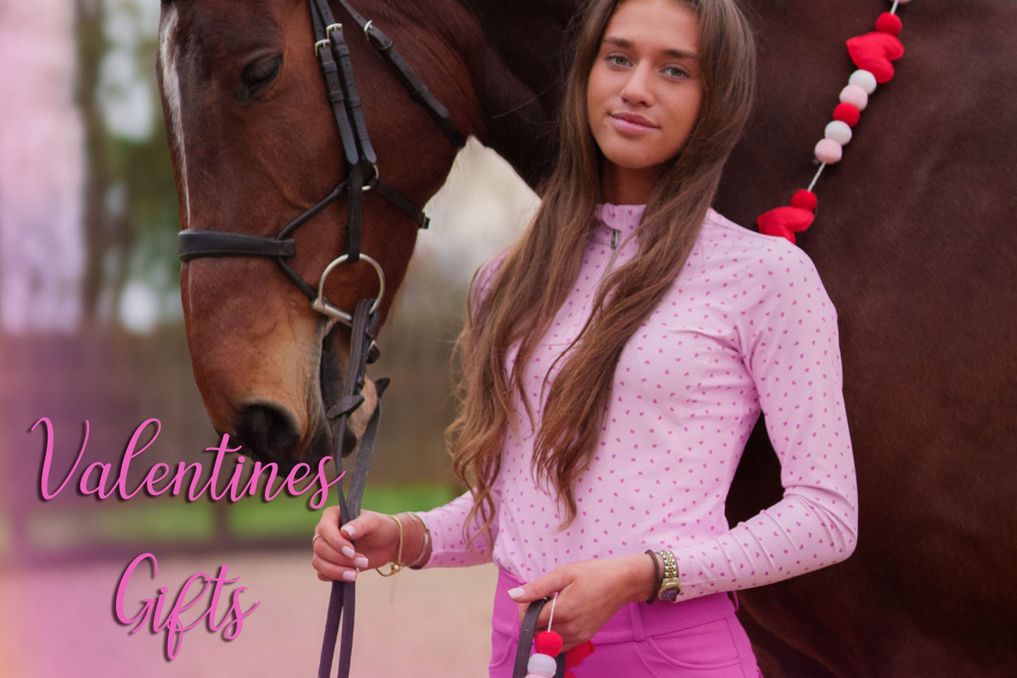 CT Equine Collection