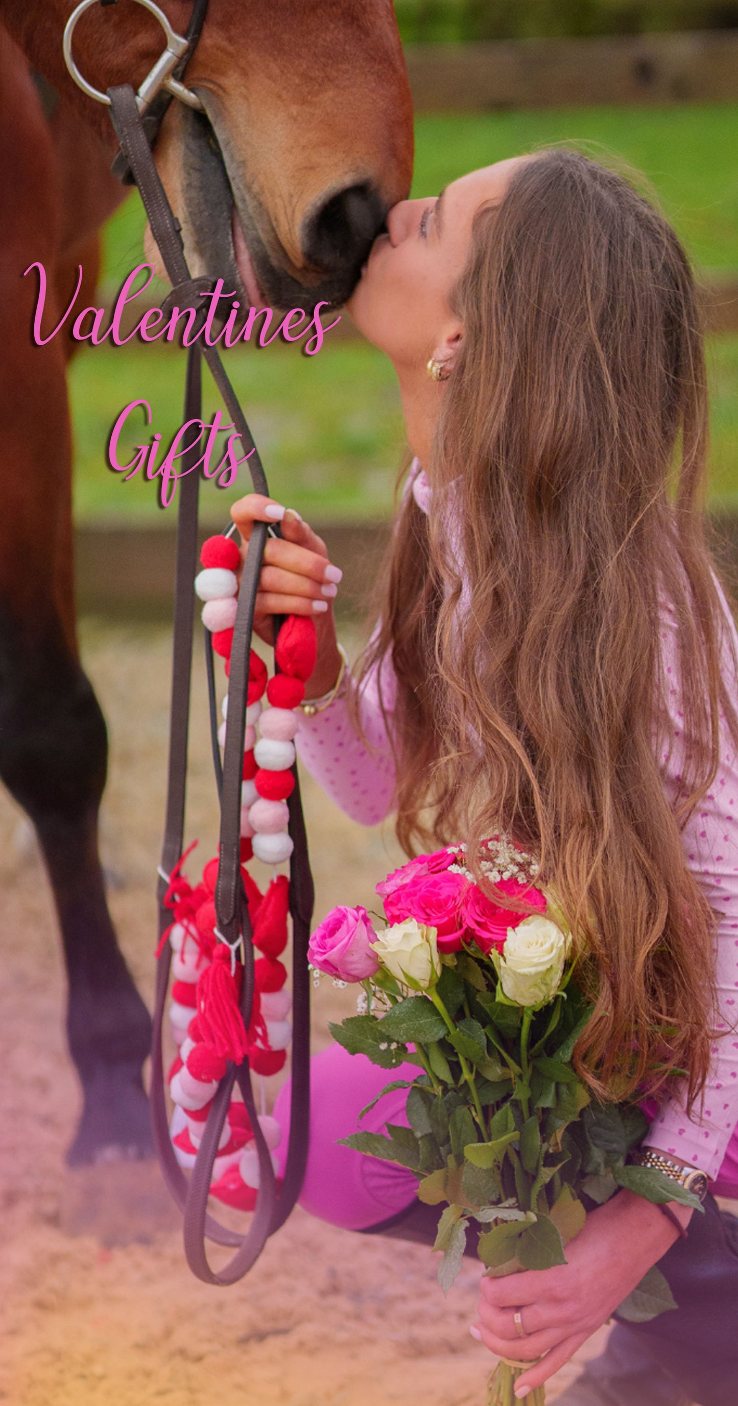 CT Equine Collection