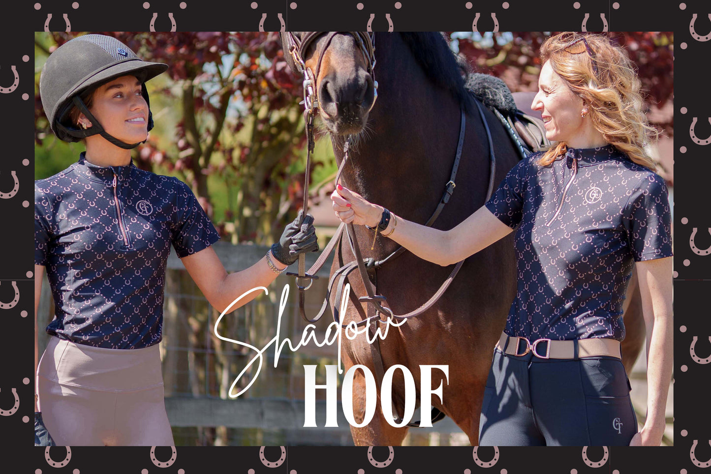 CT Equine Collection